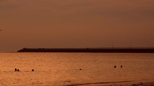 Foto Meditativa Persone Che Nuotano Nell Oceano Serale Aereo Che — Video Stock