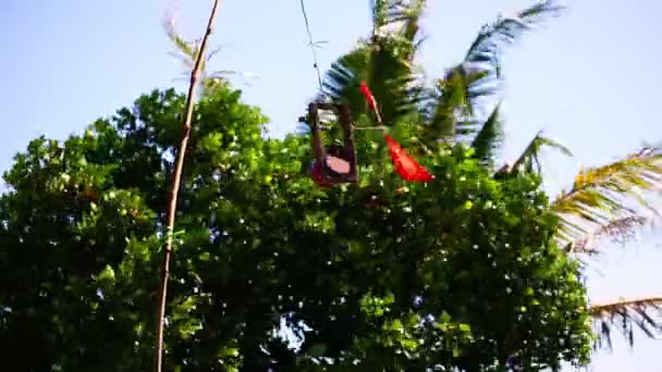 Indonesian Balinese Homemade Handmade Bird Repeller Village — Stock Video