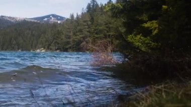 Karadağ 'daki Durmitor Ulusal Parkı, Crno jezero veya siyah göl kıyısında dalgalar çarpışıyor