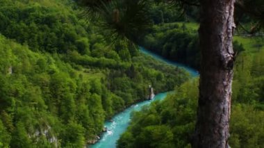 Karadağ 'da sakin bir turkuaz dağ nehri, Tara kanyonu ve Tara nehri manzarası