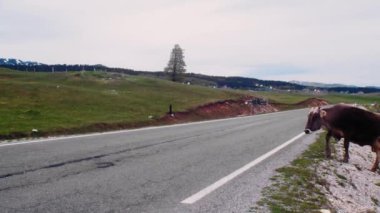 Karadağ 'ın dağlarındaki boş yolu aşıyor