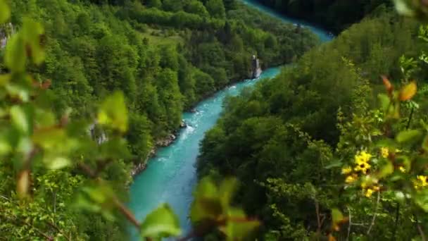 Pohled Klidnou Tyrkysovou Horskou Řeku Tara Kaňon Řeku Tara Černé — Stock video