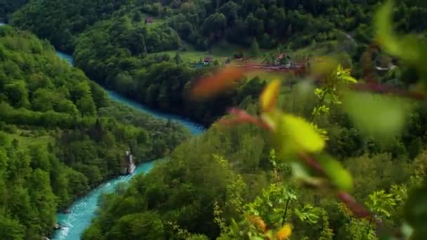 Uitzicht Een Kalme Turquoise Bergrivier Tara Canyon Tara Rivier Montenegro — Stockvideo