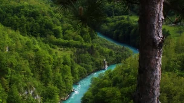 黑山塔拉峡谷和塔拉河绿松石山河的景色 — 图库视频影像