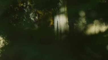 Sabah güneşinde dikey dağ nehri