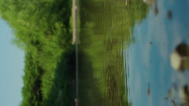 Daireler şeklinde yayılan su, bir dağ nehrinde suyun yüzey gerilimi. Dikey video