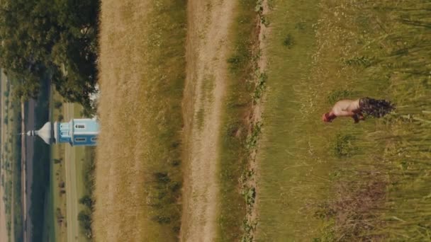 野原の農民が地平線上に教会の背景と熱い空気の上昇に対して暑い日に草をマウスする垂直ビデオ — ストック動画