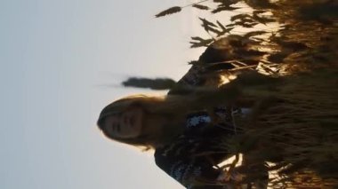 Dikey video beyaz kadın romantik bir kadın buğday tarlasında duruyor akşamları çiçek açan ışık huzmeleri