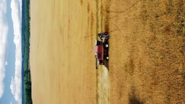 Vertical Vídeo Drone Tiro Voando Sobre Combinam Colheitadeira Trabalhando Campo — Vídeo de Stock