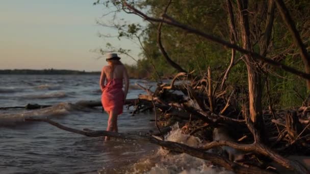 Menina Driftwood Verão Férias Oceano Praia Pôr Sol — Vídeo de Stock