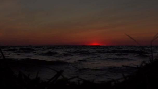 Silhueta Meditativa Juncos Baía Com Sol Vermelho Sobre Horizonte Entardecer — Vídeo de Stock