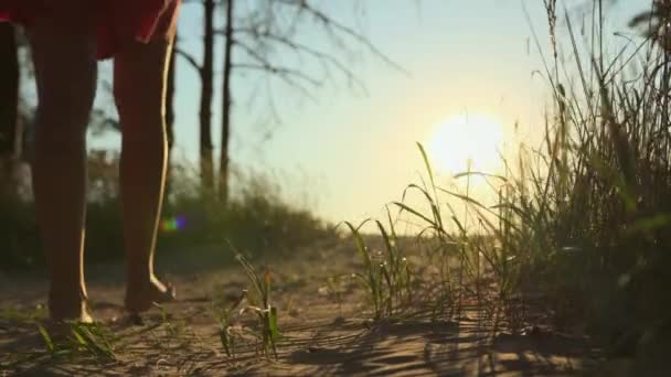 Dziewczyna Idzie Wybrzeże Przez Burzę Piaskową Tle Ogromnego Jasnego Słońca — Wideo stockowe