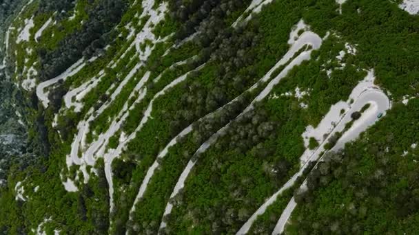 Estrada Serpantina Vertical Montanha Com Floresta Verde Vista Aérea — Vídeo de Stock