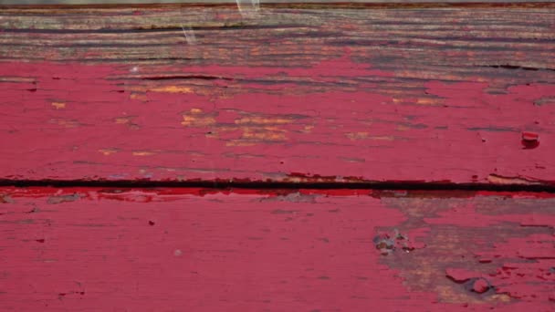 Grote Druppels Regen Vallen Breken Oude Planken Beschilderd Met Oude — Stockvideo