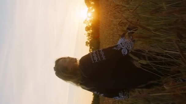 Κάθετη Αγρότισσα Περπατά Μέσα Από Χωράφι Σιτάρι Ηλιοβασίλεμα Αγγίζει Αυτιά — Αρχείο Βίντεο