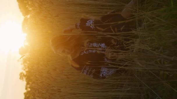 Vertical Video Caucásico Romántica Mujer Sentado Campo Trigo Noche Floreciendo — Vídeo de stock