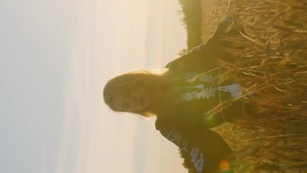 비디오 코카서스 낭만적인 여자가 광선을 저녁에 밀밭에 — 비디오