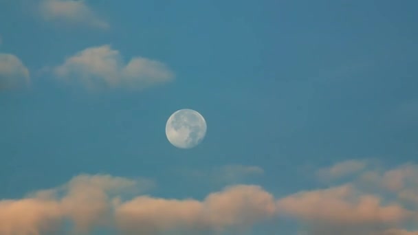 Μεγάλο Φεγγάρι Κατά Διάρκεια Της Ημέρας Χρονικό Κενό Σελήνης Και — Αρχείο Βίντεο