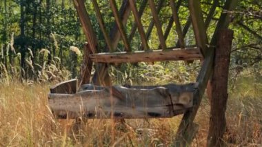 Vahşi geyikler ve yaban domuzları için vahşi yaşam besleyicisi