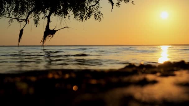 夏日夕阳西下 沙滩上平静的海浪 地平线上飘荡的鸟儿 令人沉思的照片 — 图库视频影像