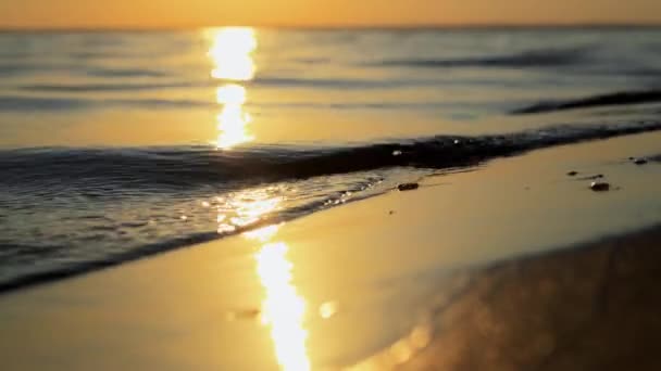 Bellissimo Riflesso Dorato Sole Increspature Che Infrangono Sulla Spiaggia Paesaggio — Video Stock