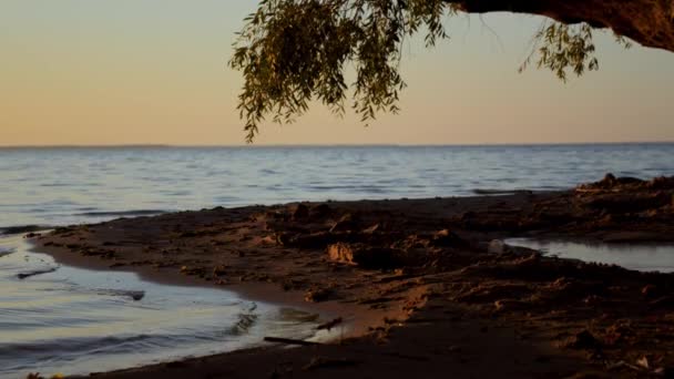 Batan Yaz Güneşinin Meditasyon Çekimi Kumlu Sahilde Çocuklar Kumsalda Oynadıktan — Stok video