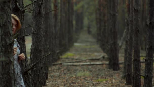 Ormandaki Ağaçlar Mesafeye Doğru Uzanan Bir Perspektif Oluşturur Yazlık Elbisesiyle — Stok video