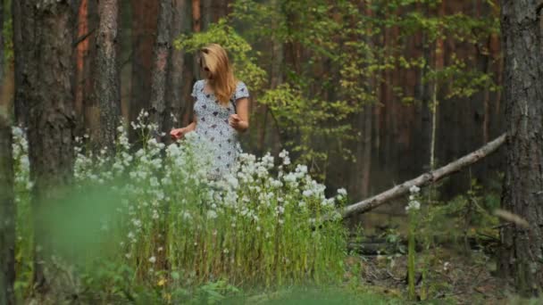 Yaz Elbisesi Içinde Narin Bir Kadın Çiçek Tohumlarına Üfleyen Çiçeklerle — Stok video