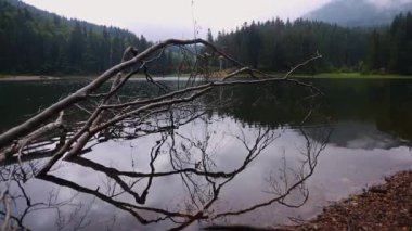 Ukrayna 'daki Karpat Dağları' ndaki Synevir Gölü veya Sinevir Gölü 'nün havadan görünüşü