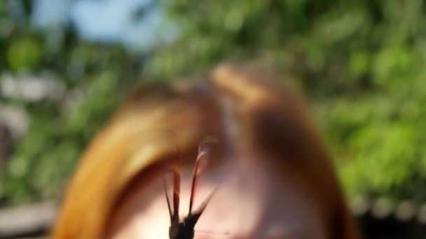 女の子の手の蝶は蝶を追うカメラを離れて飛ぶ 最初のポイントビュー貧困カメラのクローズアップ — ストック動画