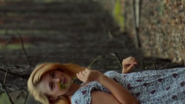 Ormandaki ağaçlar mesafeye ve romantik dikey bir perspektif oluşturur.