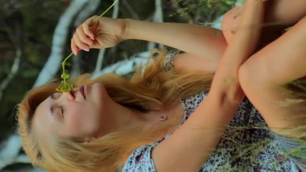 夏の日没のロマンチックな少女は草の上に座り アロマの垂直を吸収する — ストック動画