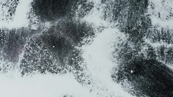 Большая Пушистая Кисть Вытирает Снег Белый Порошок Прозрачной Поверхности Снимая — стоковое видео