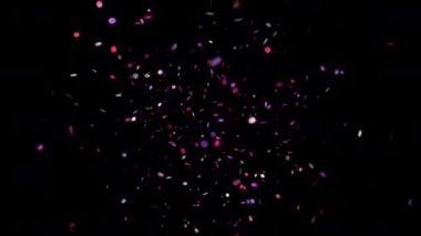 Pink and Lilac confetti on transparent background 4K. High quality 4k footage