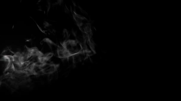 Abstrakcyjny Realistyczny Dym Nakładający Się Zwolnione Tempo Wysokiej Jakości Materiał — Wideo stockowe
