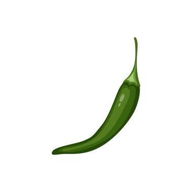  Anaheim pepper illustration isolated on white background in flat design, infographic icon in flat style on white background