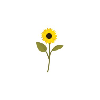 Sunflower. Sunflower Flat Icon Isolated on White. Vector illustration isolated on white background