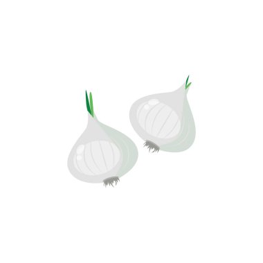 The pearl onion also known as button, baby or silverskin onions. Vector illustration isolated on white background. For template label, packing, web, menu, logo, textile, icon