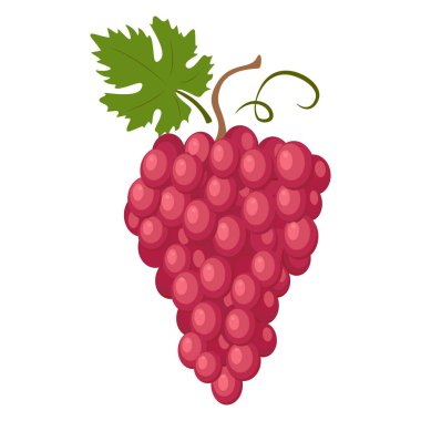 Kırmızı küre üzümü. Kızıl Küre, çok geniş bir çeşitliliktedir, kırmızı üzümler ve sert et ağırlıklı olarak bir masa üzümü olarak kullanılır. Vektör illüstrasyonu beyaz arkaplanda izole edildi