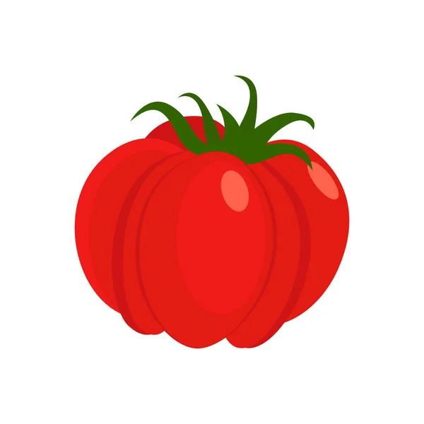 传下来的番茄番茄品种也被称为传统番茄 在白色背景上被分离的病媒图解 模板标签 纺织品 — 图库矢量图片