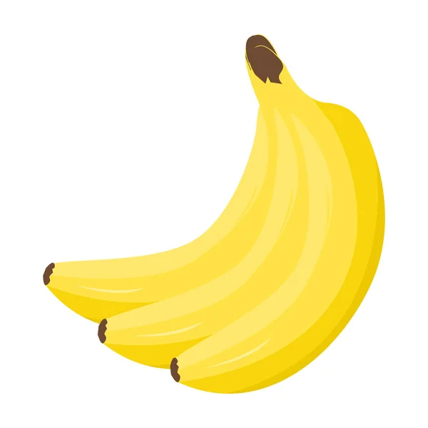 Banana Três Bananas Maduras Num Fundo Branco Ilustração Vetorial Isolada — Vetor de Stock