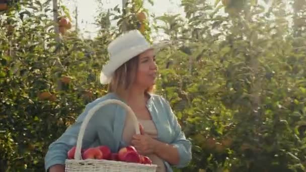 Apfelernte Obstgarten Eine Junge Bäuerin Mit Weißem Hut Trägt Beim — Stockvideo