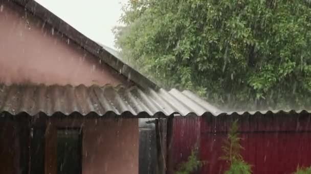 우박을 비가집의 지붕에 쏟아지자 우박은 방향으로 세차게 쏟아진다 — 비디오