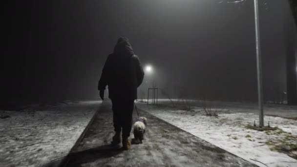 冬天的夜晚 在雾蒙蒙的城市公园里 一个害怕的年轻女子带着一条小狗回头看 从一个人手里跑掉了 — 图库视频影像