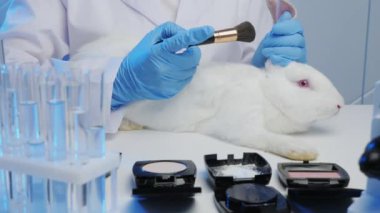Laboratuvarda bir adam kozmetik ürünlerini tavşanlar üzerinde test ediyor. Derinin tepkisini incelemek için üzerine toz serpiştirilmiş beyaz bir tavşana yakından bakıyor.