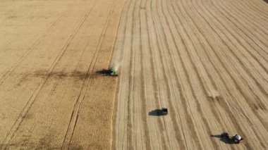 Buğday tarlasında mahsul toplayan bir biçerdöver. Toplanan tahılları taşıyan bir araçla birlikte çalışıyorlar. Alan işlenmiş ve işlenmemiş bölümlere bölünmüştür