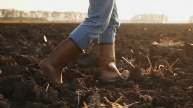Kauçuk çizmeli bir erkek tarım uzmanı gün batımında kuru bir tarlada yürüyor, sadece yakın plan bacakları var.
