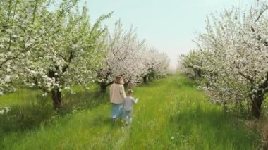 Anne ve küçük oğlu el ele tutuşup bahçede elma ağaçlarının çiçeklenmesinin tadını çıkarıyor.