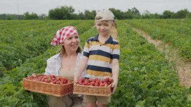 Bir anne ve oğlu tarlada çilek topluyor. Kırmızı ve beyaz eşarplı kadın bir sepet çilek tutuyor, ve çizgili gömlek ve beyzbol şapkalı çocuk da bir sepet dolusu