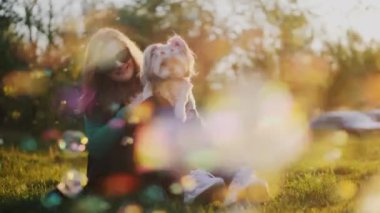 Güneş gözlüklü genç bir kadın parkta çimlerin üzerinde oturuyor, kollarında bir Shih Tzu köpeği tutuyor. Etraflarında bulanık renkli sabun köpükleri var. Parlak ve sıcak bir festival yaratıyorlar.